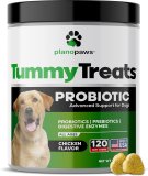 Probiotics for Dogs Digestive Health – Dog Probiotics and Digestive Enzymes – Allergy Relief for Dogs – Probiotic for Dogs Gut Health – Puppy Probiotic Tummy Treats – 120 Dog Probiotic Chews