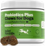 Deley Naturals Probiotics Plus Chews for Dogs, Gut Health Supplement, 5 Billion CFU’s, Digestive Enzymes, Prebiotics, Dog Allergies, Diarrhea, Yeast, Pumpkin Flavor, 90 Chews – Made in The US